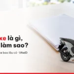 Cà vẹt xe là gì? Cách đọc, mất cà vẹt phải làm sao và mua xe bao lâu thì có